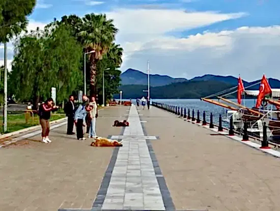 Köyceğiz Fotoğrafları