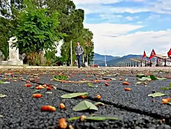 Köyceğiz Fotoğrafları