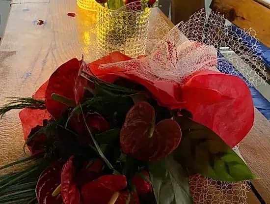 Köyceğiz Aktiviteleri
