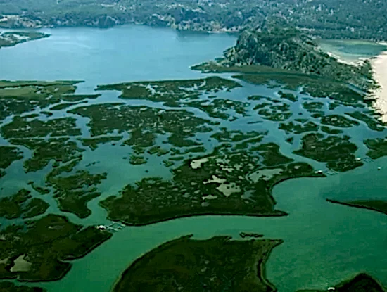 Köyceğiz Aktiviteleri