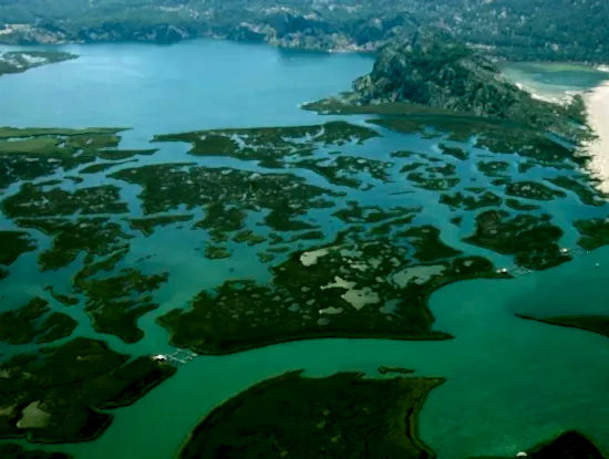 İztuzu Plajı Tekne Turu. Köyceğiz İztuzu Tekne Turu Ve Fiyatı.